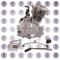 Двигатель в сборе 4Т 165FMM (CBB250) 223см3 (МКПП) (1-N-2-3-4-5)